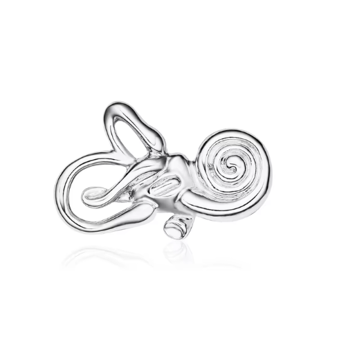 Inner Ear