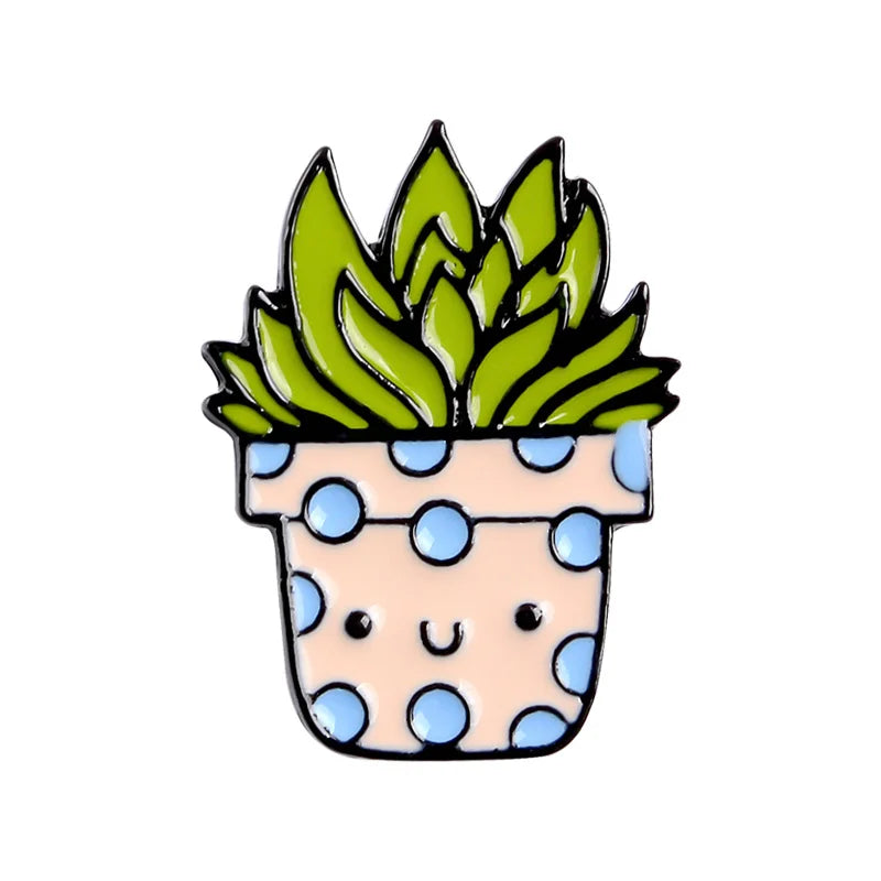 Cactus Succulent - Grade B