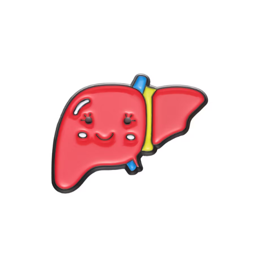 Cute Liver